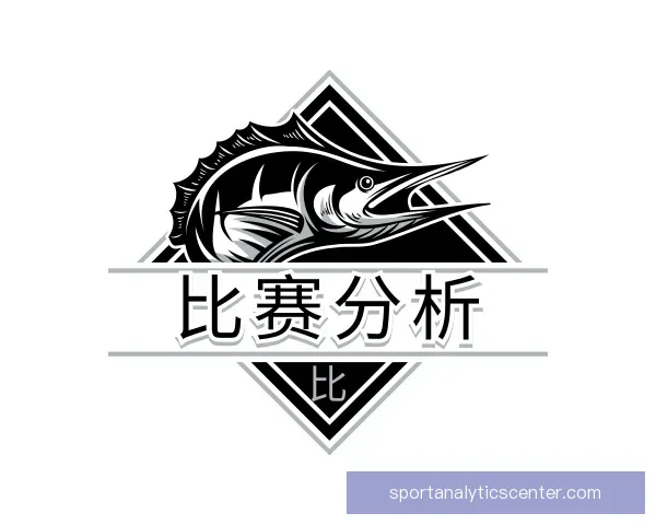 了解比赛分析